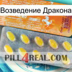 Возведение Дракона new05
